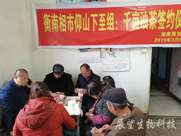 千畝油茶簽約現場