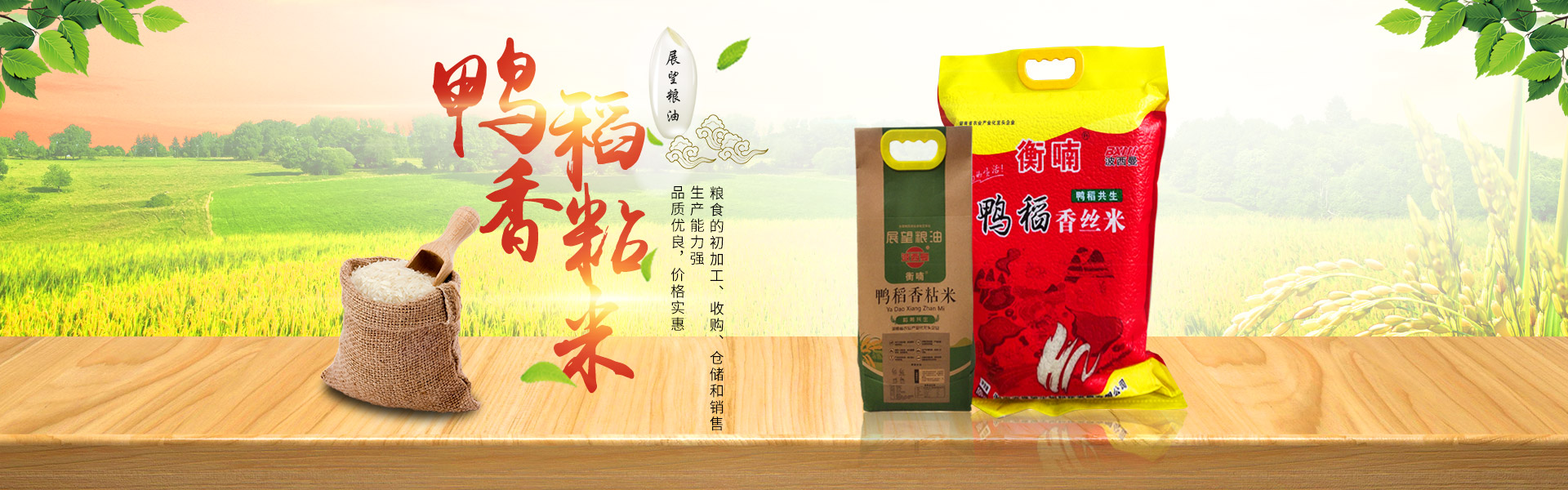 湖南省展望生物科技發(fā)展有限公司_農(nóng)副產(chǎn)品加工|糧食收購