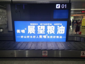 農副產品加工,糧食收購,油料的種植,湖南省展望生物科技發展有限公司